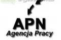 Praca przy maach - Holandia
