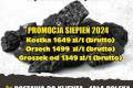 Hurt wgla z polskich kopalni - Oferta promocyjna na sierpie 2024